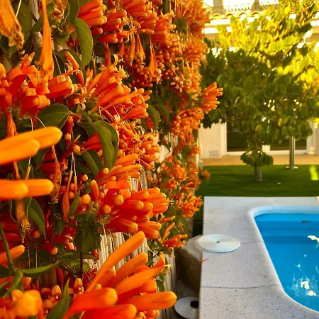 Suite Breeze - Private Heated Pool Malaga Exterior photo