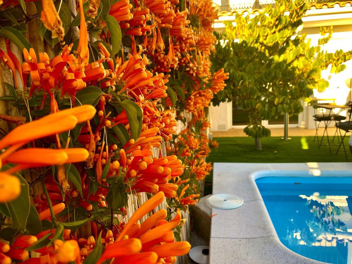 Apartment Breeze - Private Heated Pool